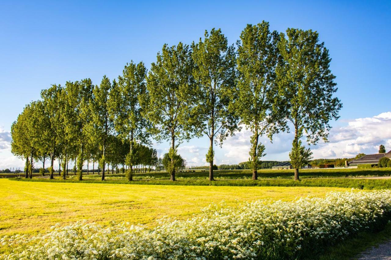 Van Doremaele Luxury Guesthouse Velddriel 外观 照片
